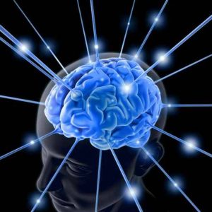 Intercambio de conocimiento https://biotechpromed.com/